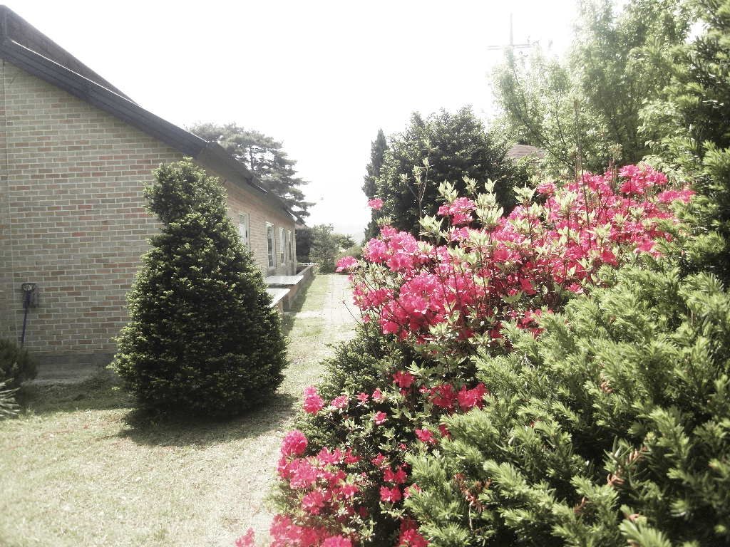 SDC10410.JPG