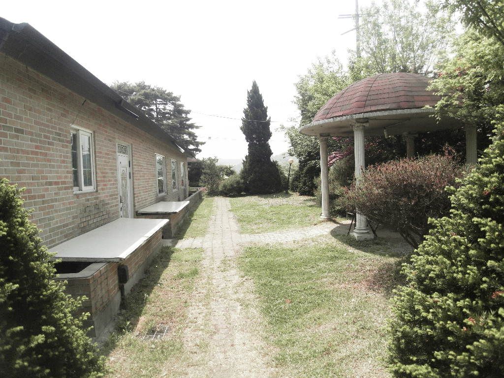 SDC10411.JPG
