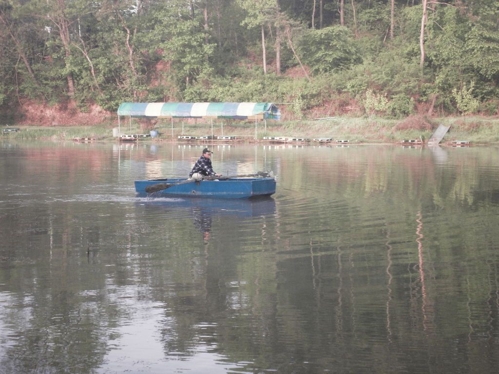 SDC10417.JPG