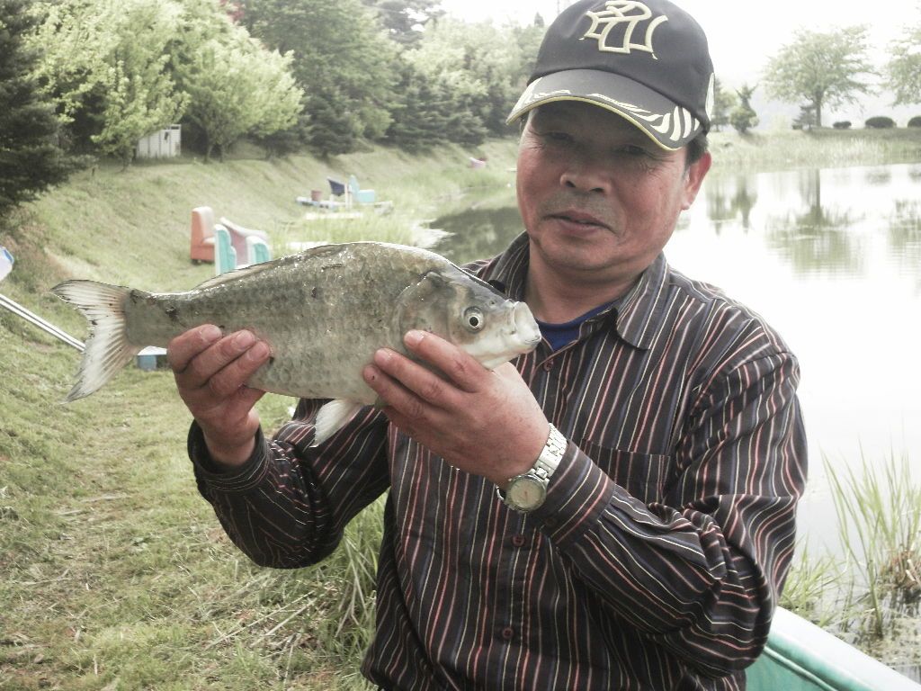 SDC10423.JPG