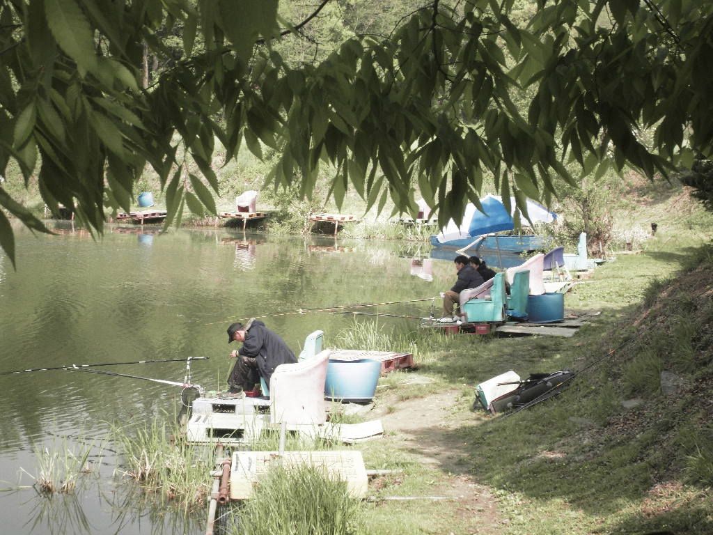 SDC10402.JPG
