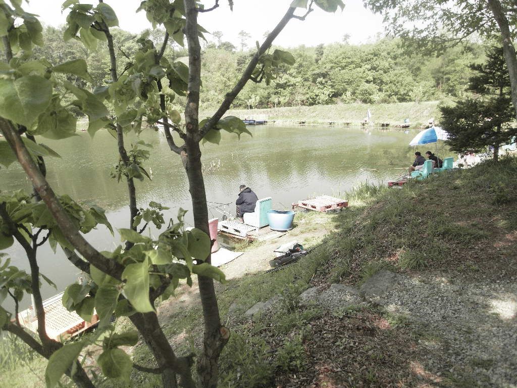 SDC10404.JPG
