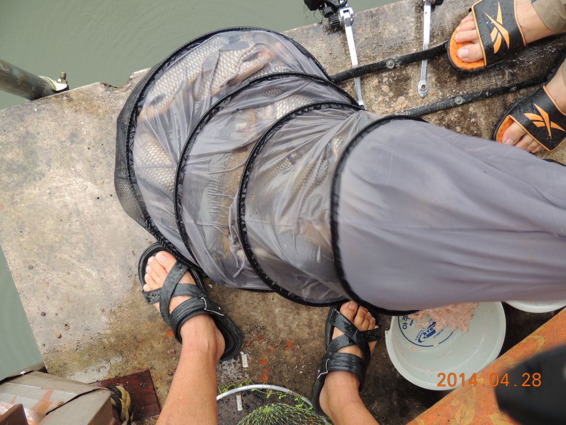 DSCN0731.JPG