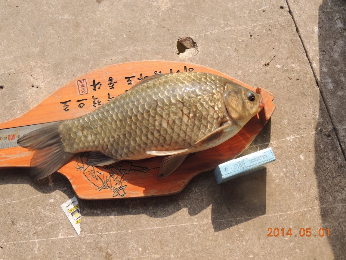 DSCN0767.JPG