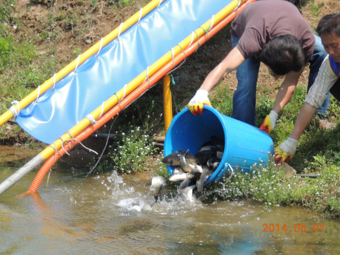 DSCN0775.JPG