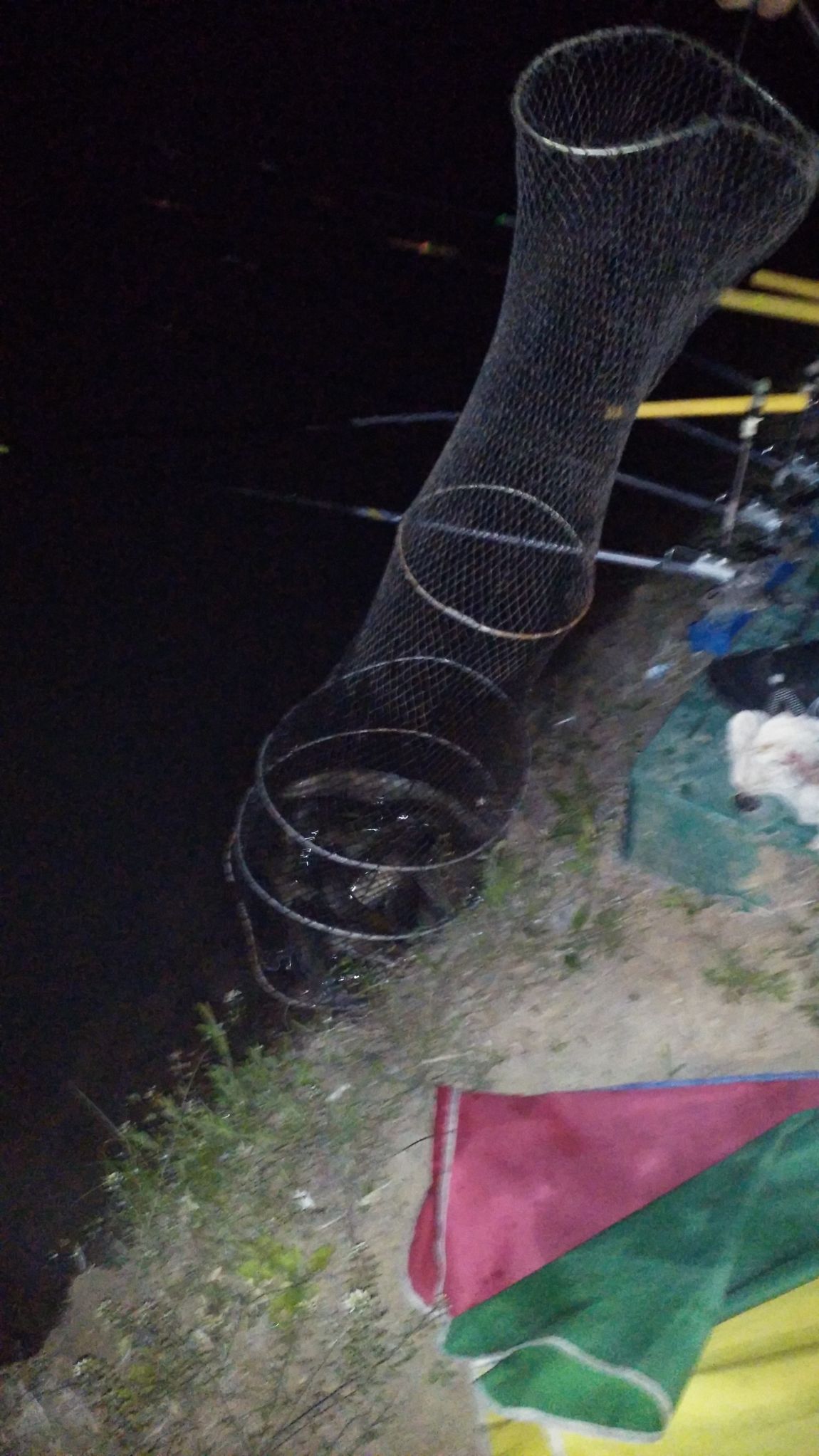 20140503_220024.jpg