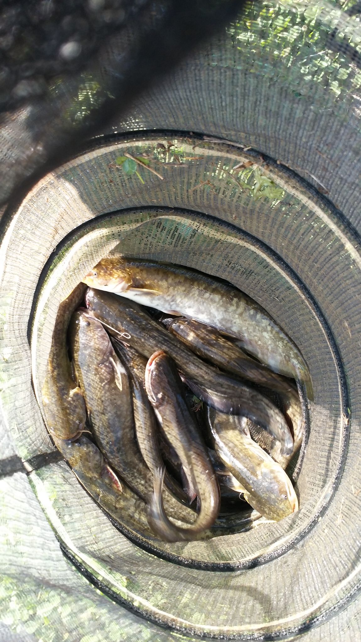20140503_164559.jpg