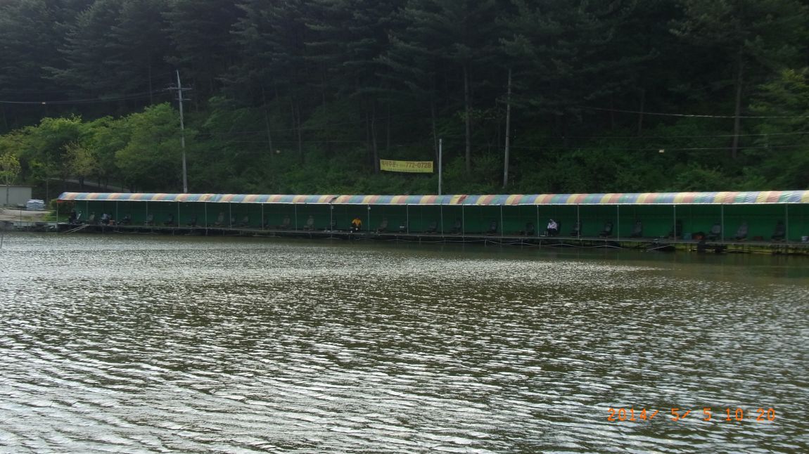 R0018428.JPG