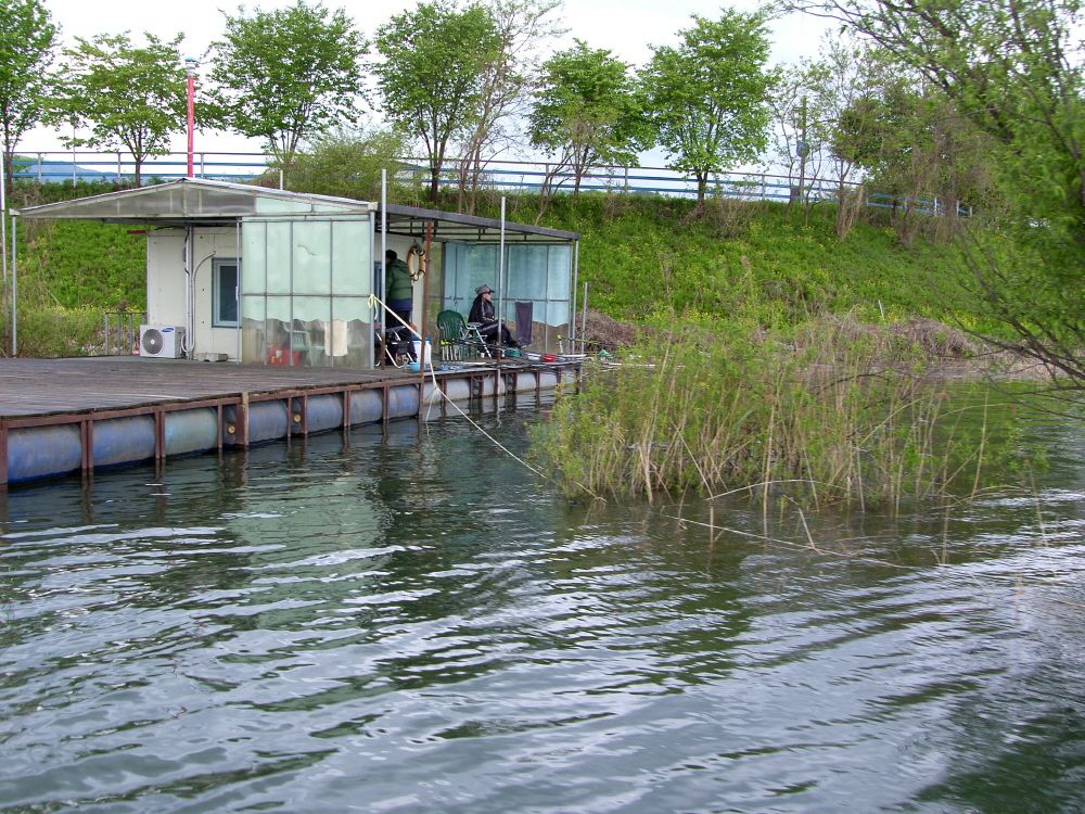 SH108248.JPG