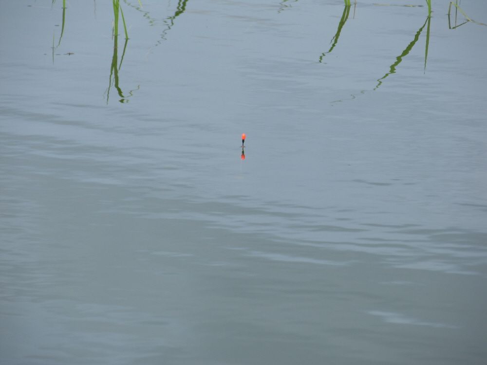SH108271.JPG