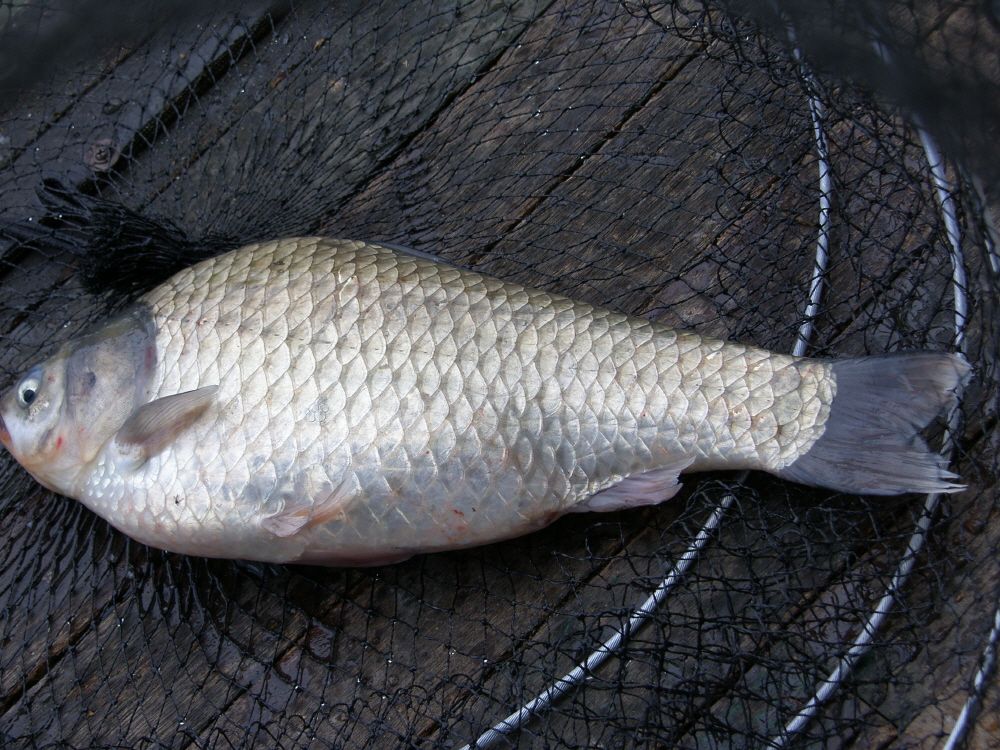SH108287.JPG