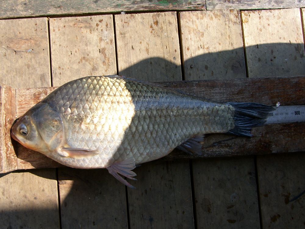 SH108301.JPG