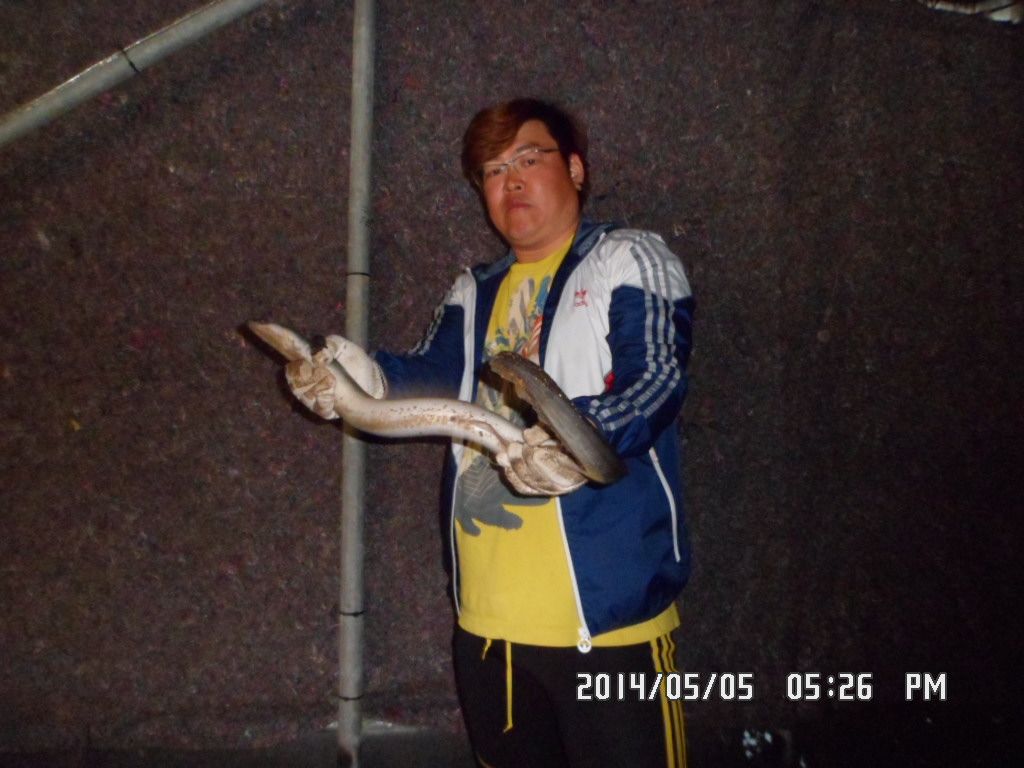 040.JPG