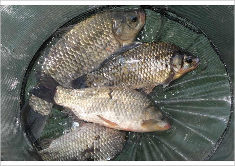 5��6�� 055.jpg