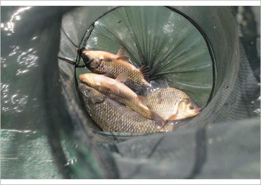 5��6�� 053.jpg