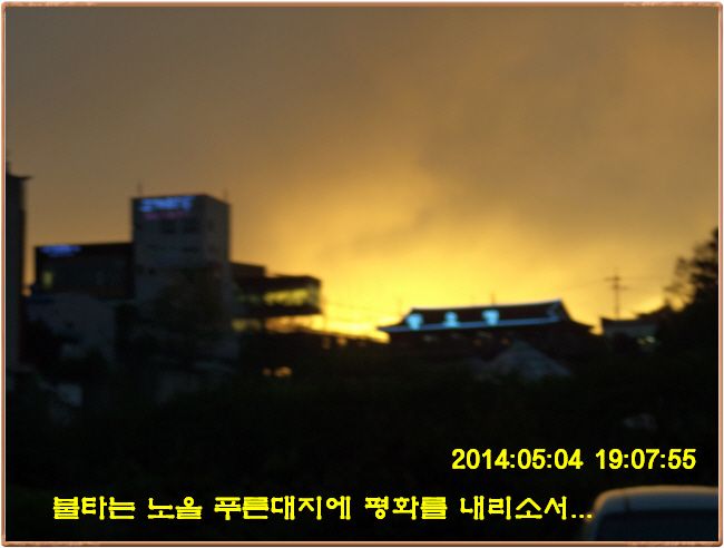 ٹ̱_DSC00240.JPG