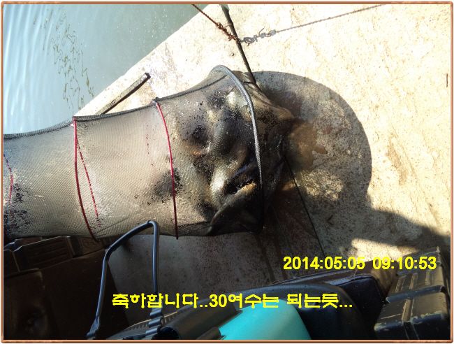 ٹ̱_DSC00249.JPG