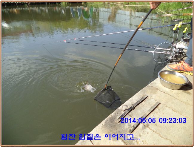 ٹ̱_DSC00251.JPG