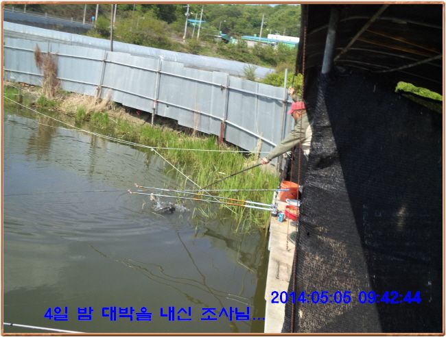 ٹ̱_DSC00253.JPG