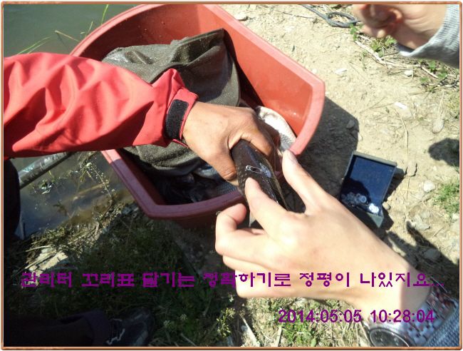 ٹ̱_DSC00260.JPG