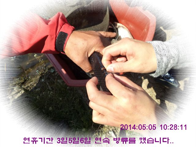 ٹ̱_DSC00261.JPG