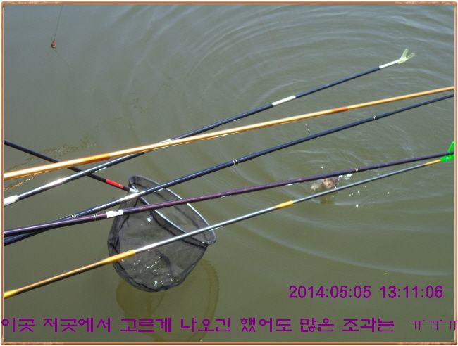 ٹ̱_DSC00267.JPG