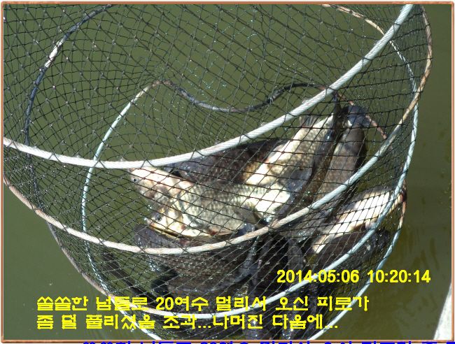 ٹ̱_DSC00289.JPG