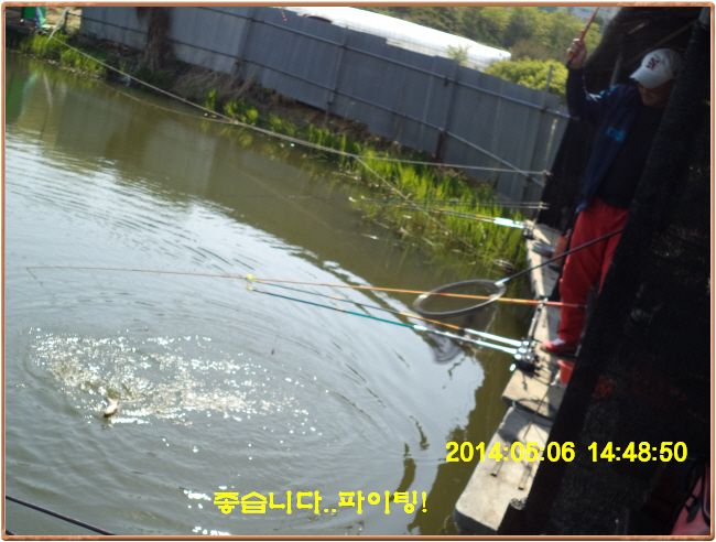 ٹ̱_DSC00290.JPG