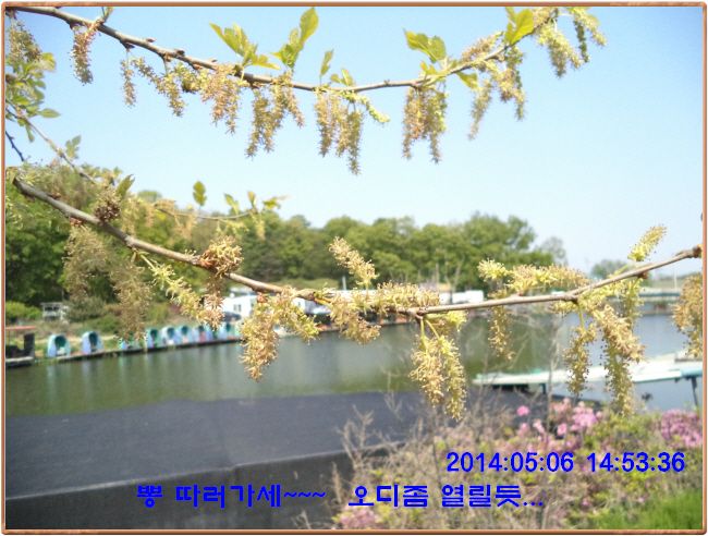 ٹ̱_DSC00291.JPG
