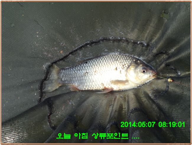 ٹ̱_DSC00294.JPG
