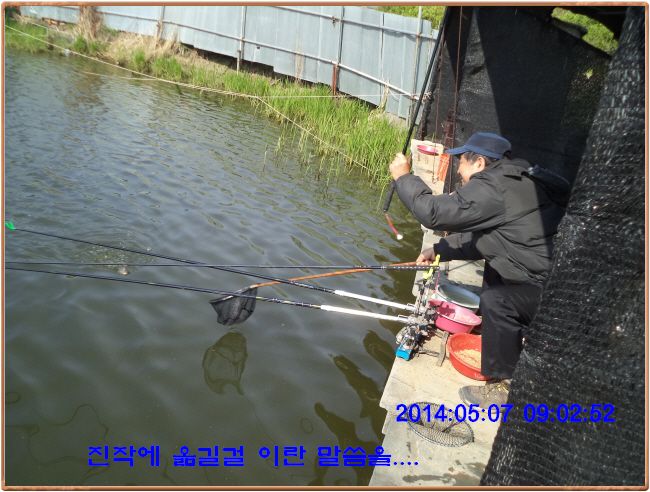 ٹ̱_DSC00296.JPG