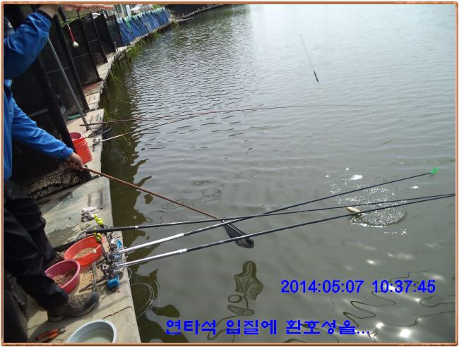 ٹ̱_DSC00297.JPG
