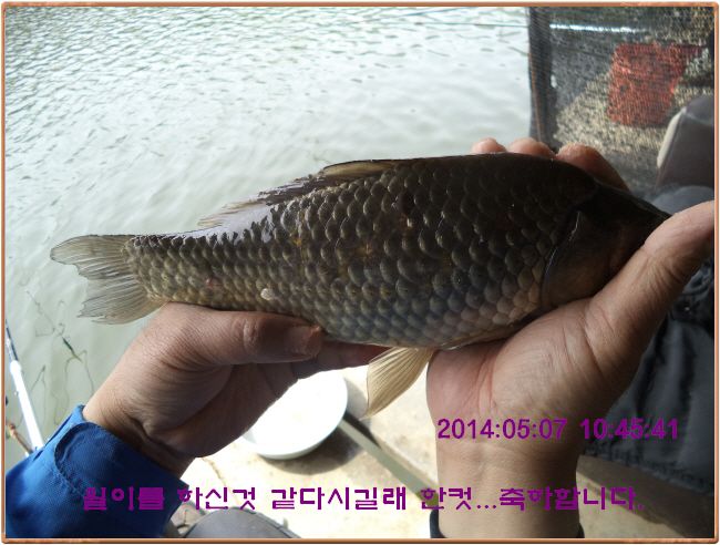 ٹ̱_DSC00298.JPG