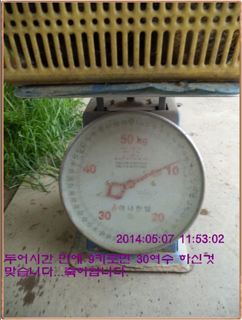 ٹ̱_DSC00299.JPG