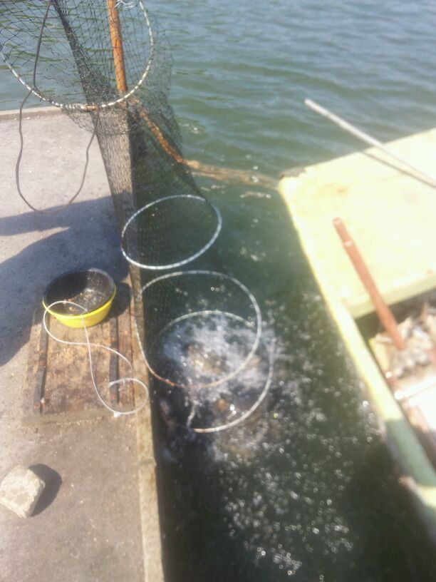 2014-05-06_10.09.02.jpg