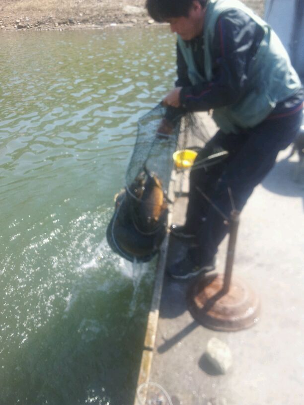 2014-05-06_10.12.14.jpg