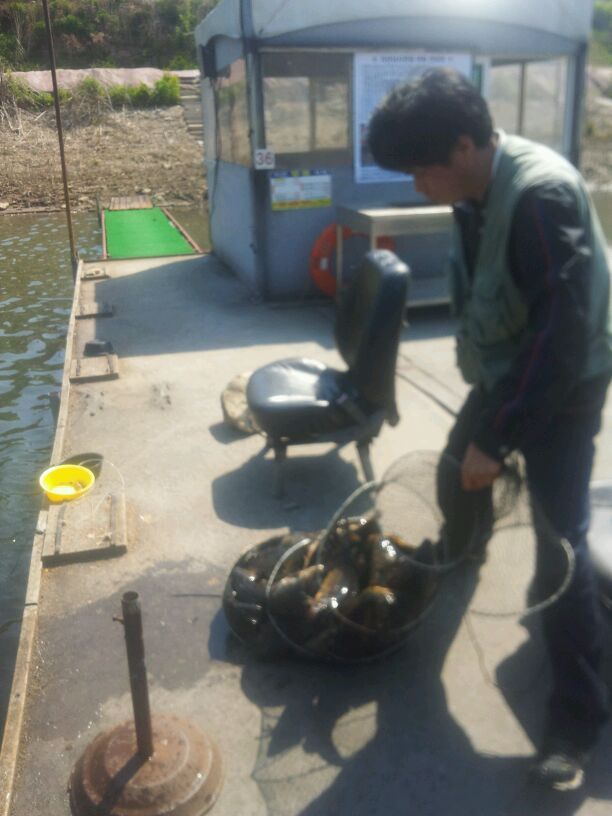 2014-05-06_10.12.19.jpg
