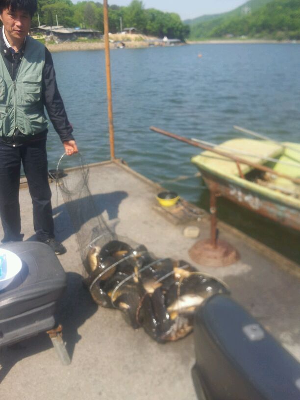 2014-05-06_10.12.31.jpg