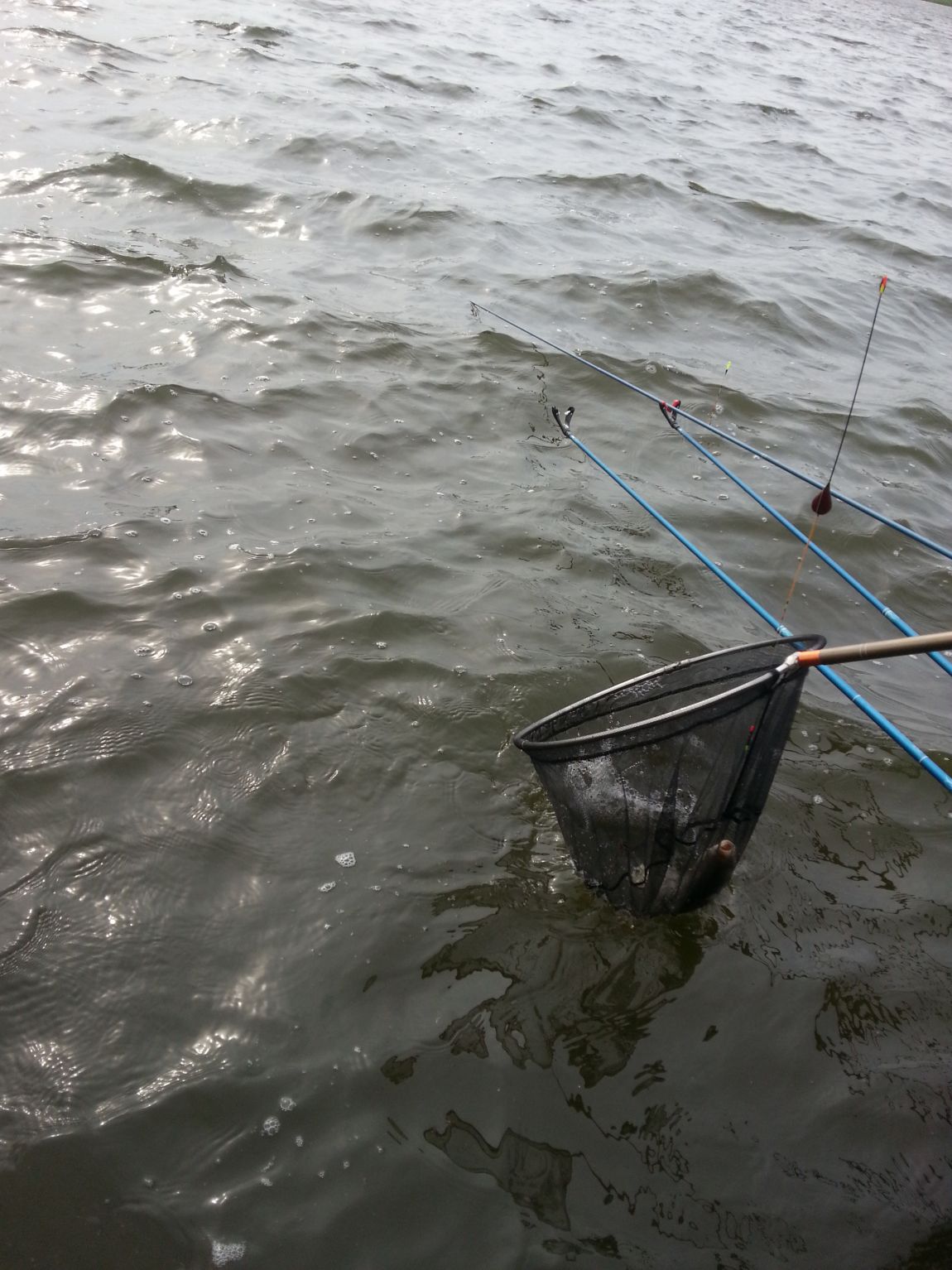 20140504_162314.jpg