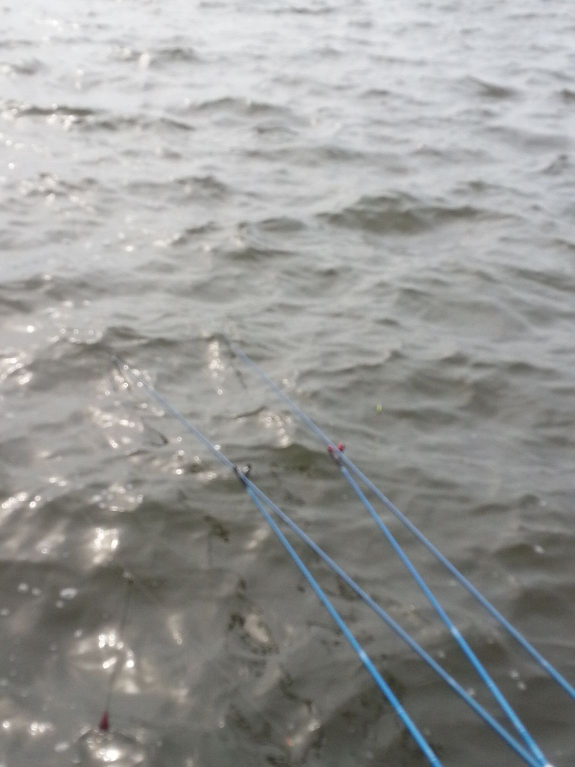20140504_162332.jpg