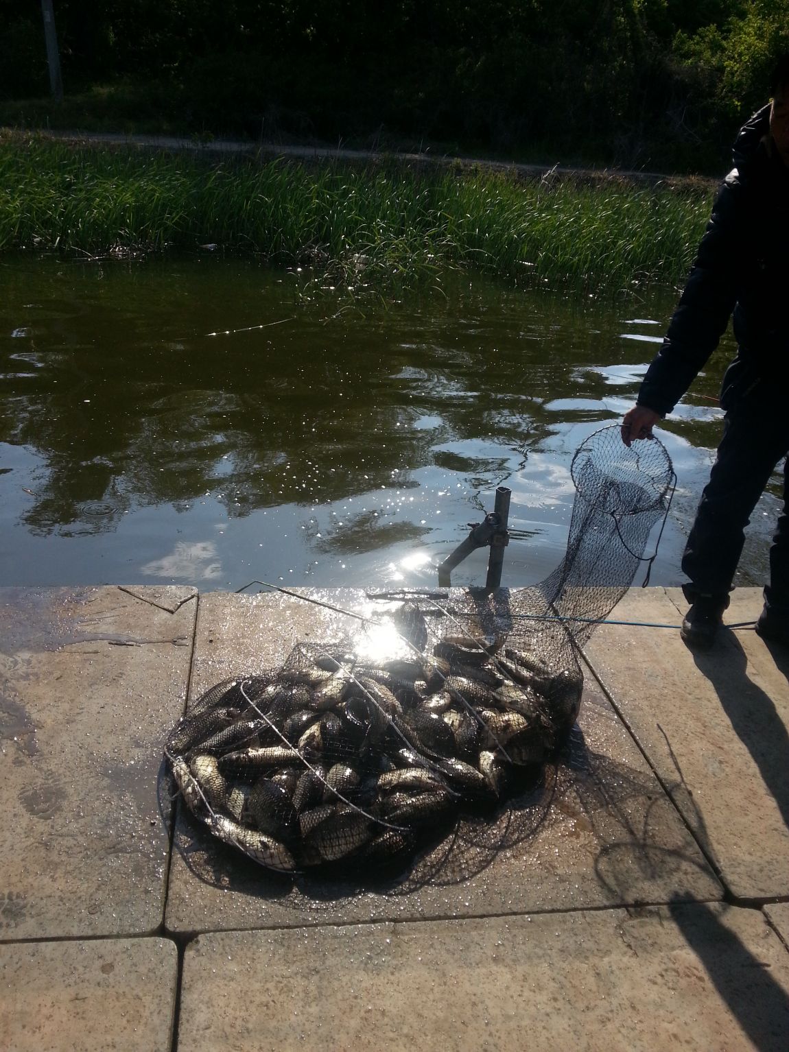 20140505_082817.jpg