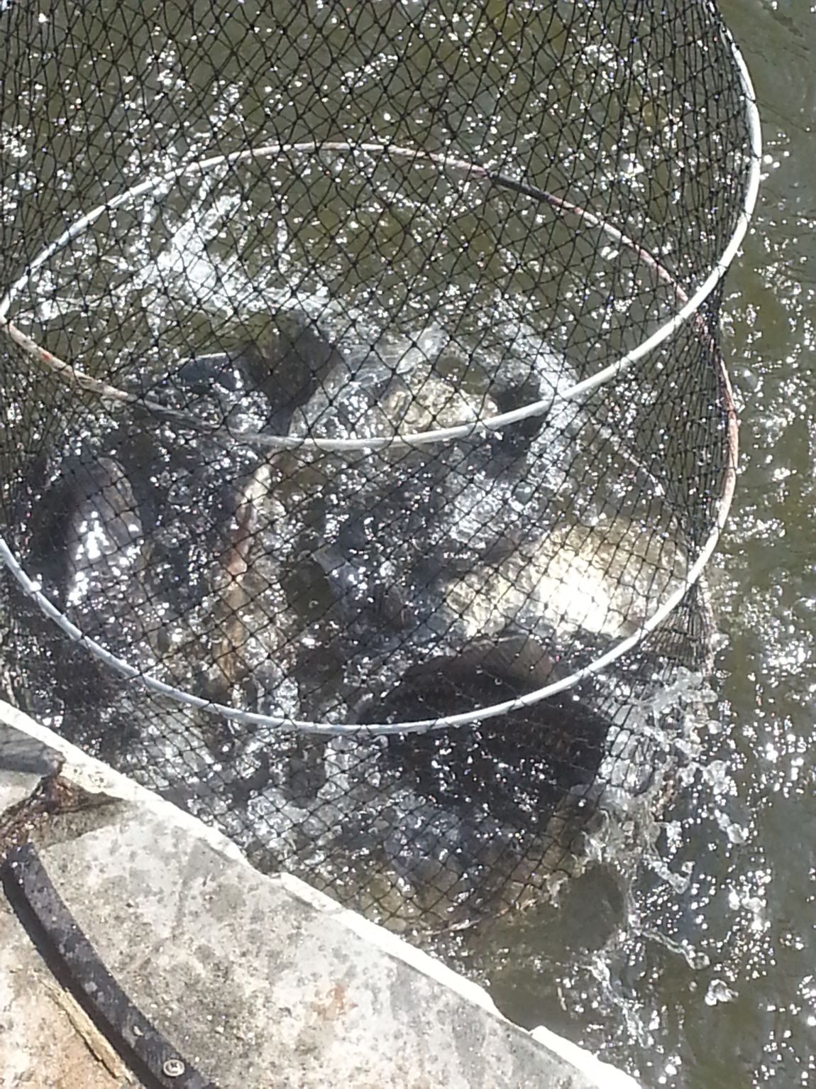 20140505_100008.jpg