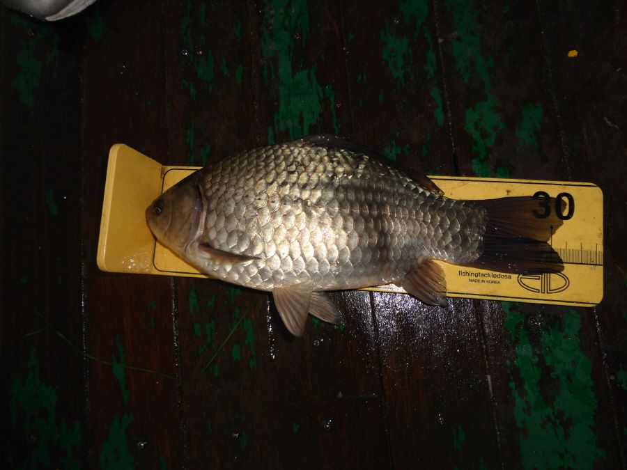 ũ�⺯ȯ_DSC08201.JPG