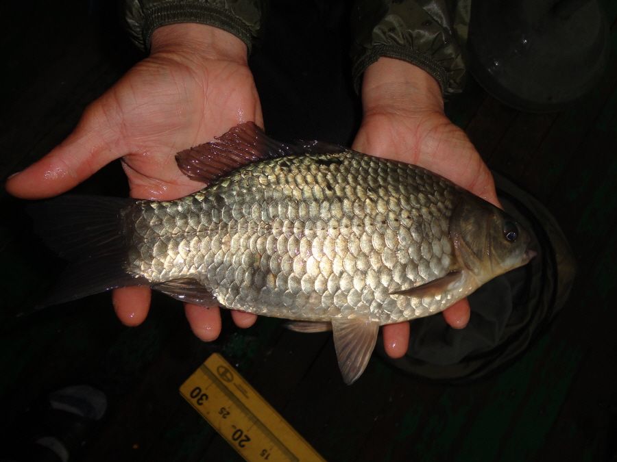 ũ�⺯ȯ_DSC08205.JPG
