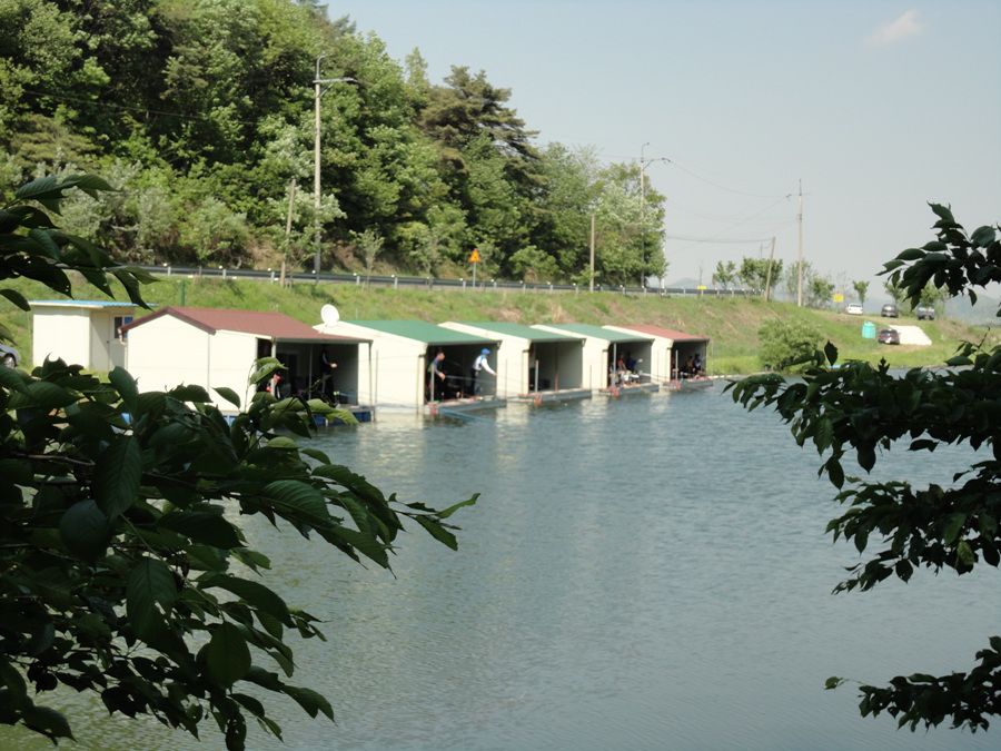 DSC01342.jpg