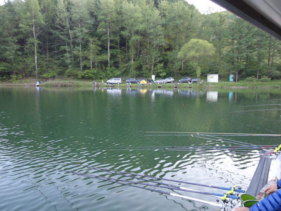 DSC01354.jpg