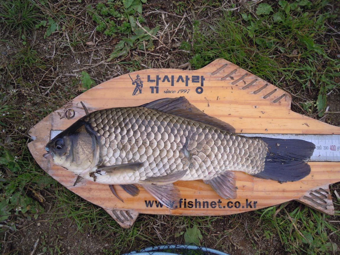 5��13 023.jpg