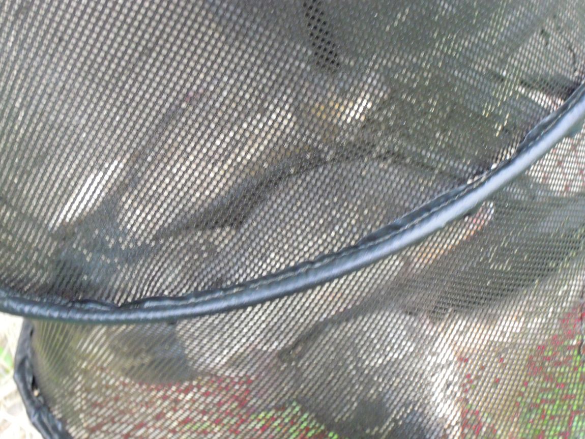 5��13 028.jpg