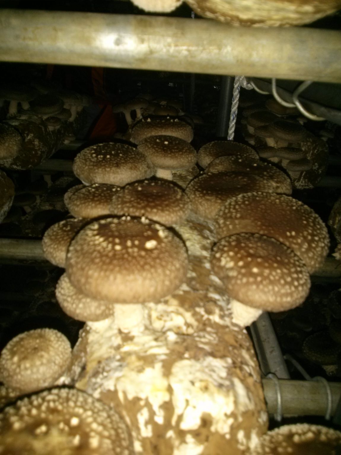 CAM01486.jpg