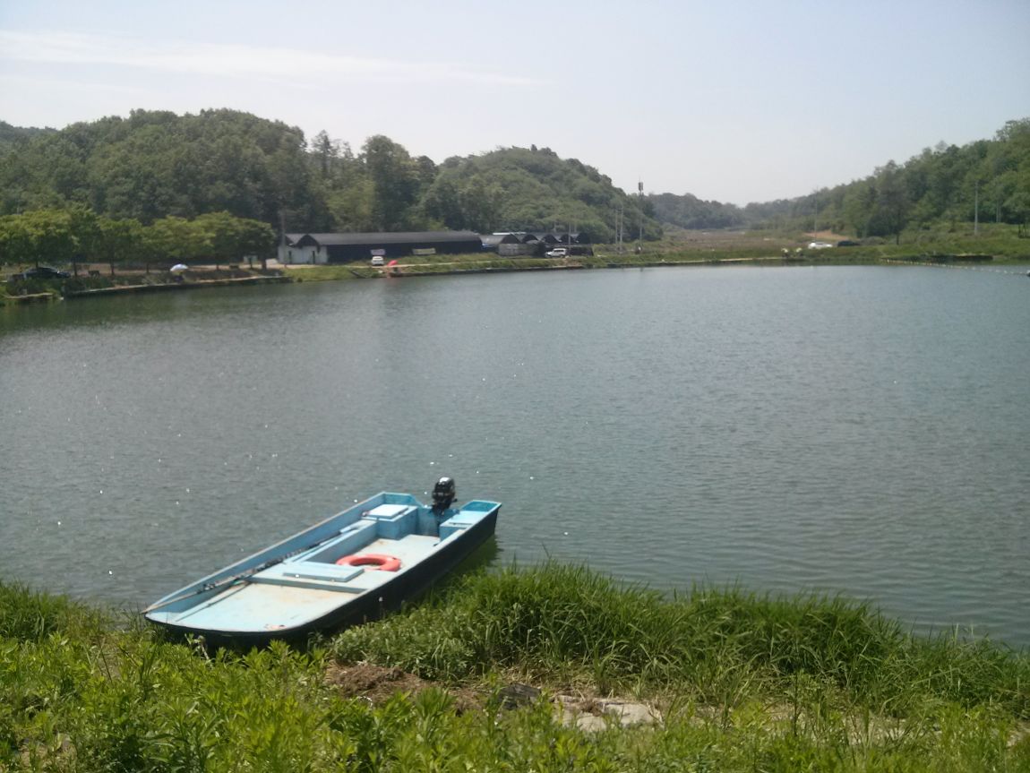 CAM01487.jpg